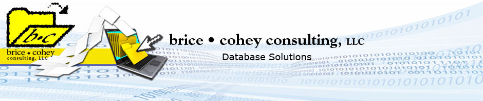 Brice Cohey Consulting